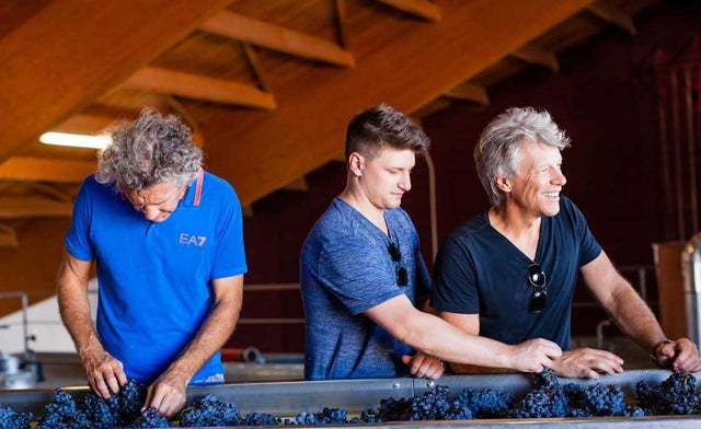 Jon Bon Jovi, son Jesse and wine maker Gerard Bertrand harvest grapes in France on Oct. 4.