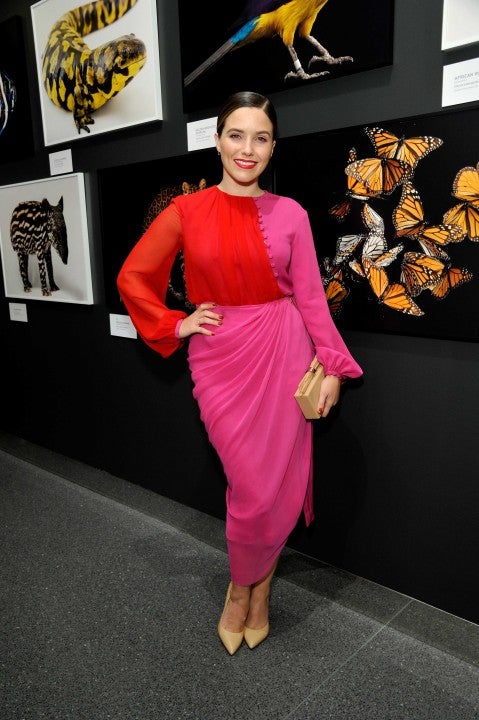Sophia Bush at the Annenberg Space For Photography's National Geographic Photo Ark exhibit on Oct. 11