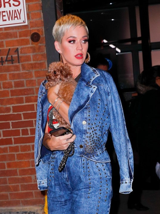 Katy Perry and Nugget at Idol auditions