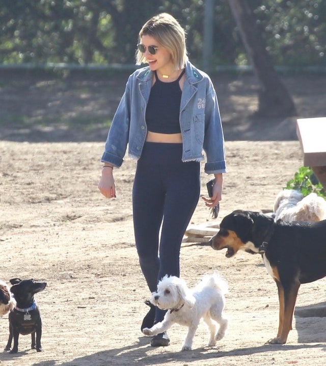 Lucy Hale at dog park with her pup Elvis in Studio City