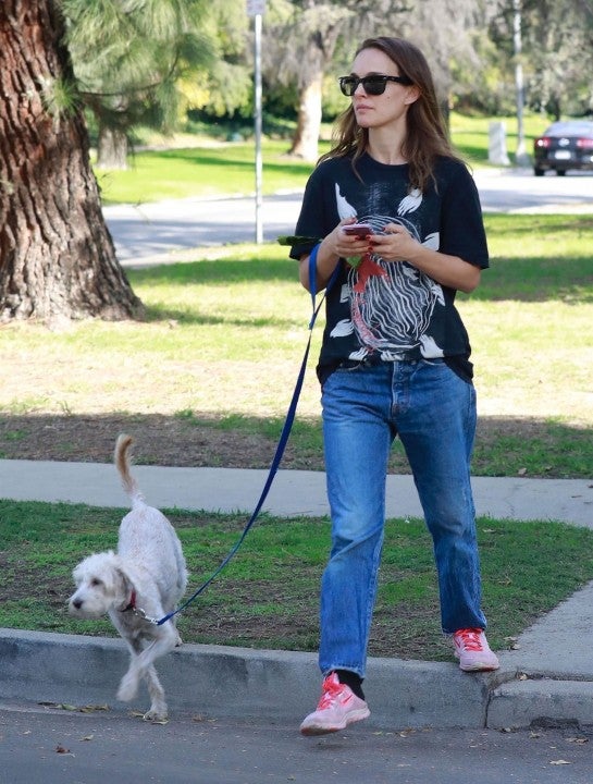 Natalie Portman walking dog in LA