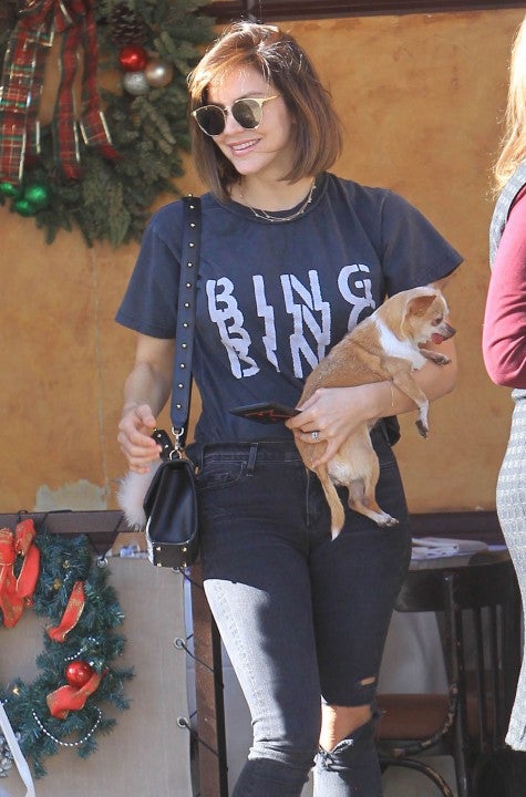 Katharine McPhee and dog on lunch date with fiance