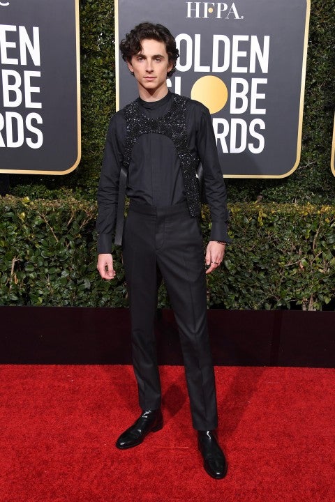 Timothee Chalamet at the 76th Annual Golden Globe Awards 