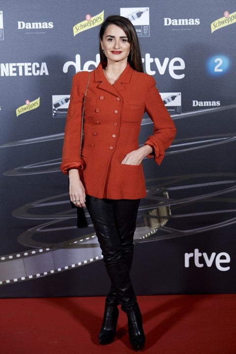 Penelope Cruz at Dias de Cine awards 