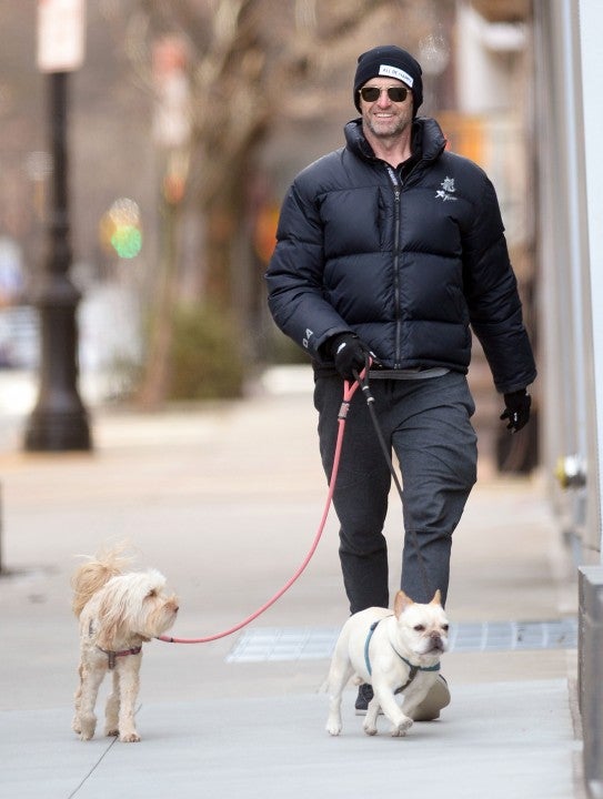 Hugh Jackman and his dogs