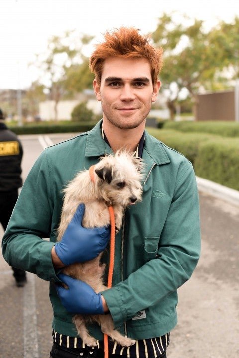 KJ Apa volunteering with the ASPCA at the Annenberg PetSpace in California on Feb. 17