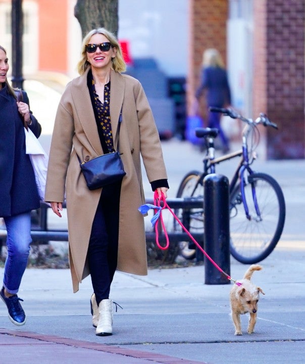 Naomi Watts walks her dog in nyc