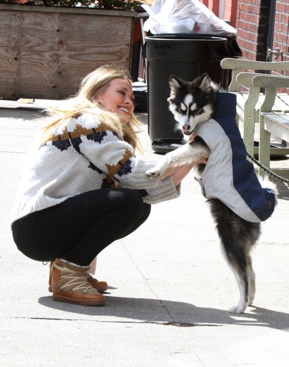Hilary Duff with a dog in NYC