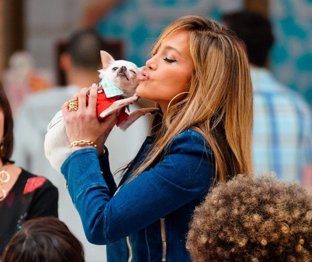 Jennifer Lopez and a dog on the hustlers set in west nyack
