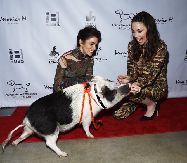 Nikki Reed and Whitney Cummings with pig