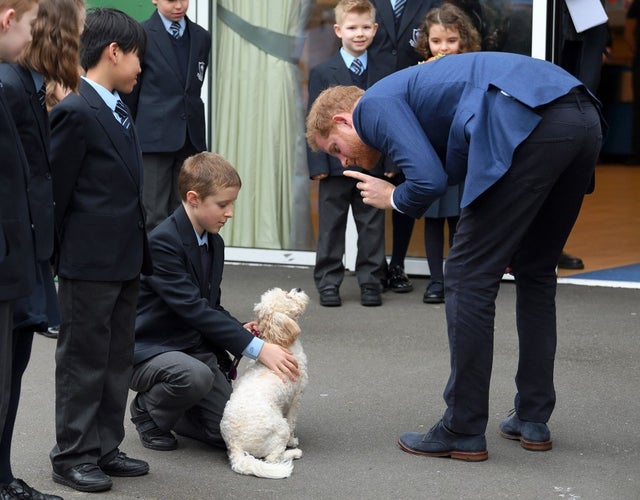 Prince Harry meets a dog named Winnie