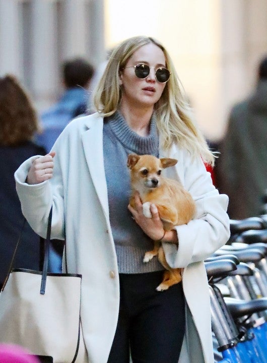 Jennifer Lawrence with dog pippi in nyc