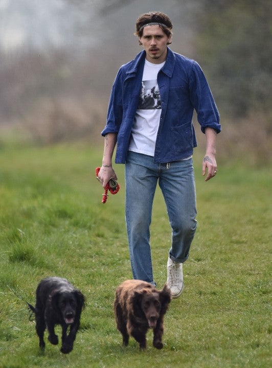 Brooklyn Beckham walks the family dogs in england