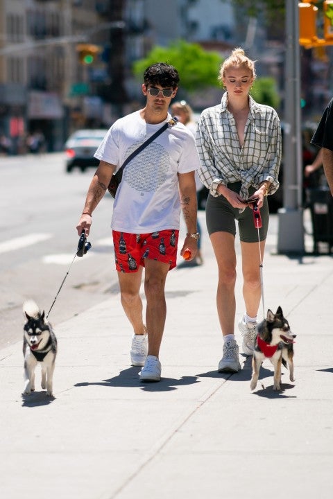 Joe Jonas and Sophia Turner walk their dogs on may 18