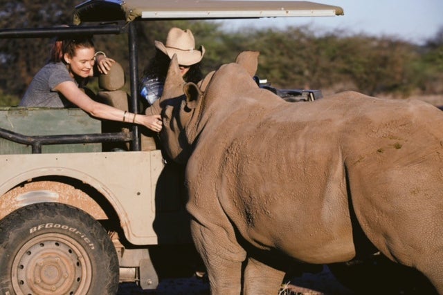 Behati Prinsloo pets rhino in Nambibia