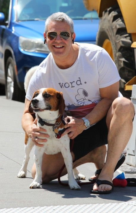 Andy Cohen walks his dog while wearing a snoopy tee
