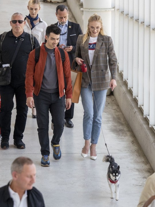 Joe Jonas and Sophie Turner with dog in avignon