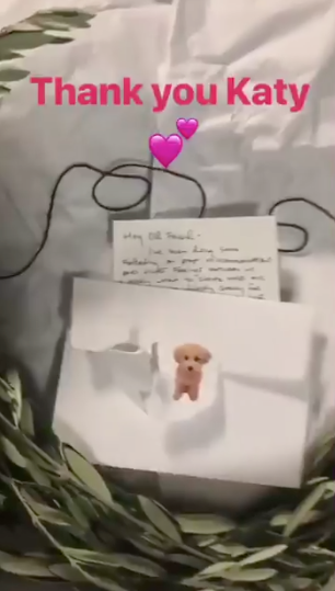 Katy Perry note on Taylor Swift instagram story in 2018