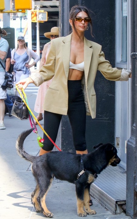 Emily Ratajkowski walks dog colombo on july 9