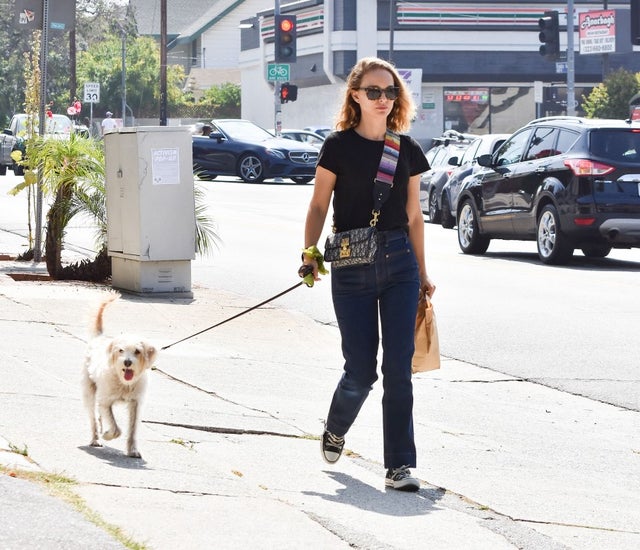 Natalie Portman walks her dog in LA on july 20