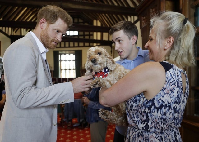 Prince Harry at Dr. Jane Goodall's Roots & Shoots Global Leadership Meeting