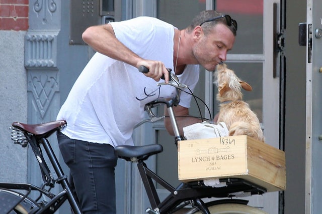 Liev Schrieber gives dog a kiss