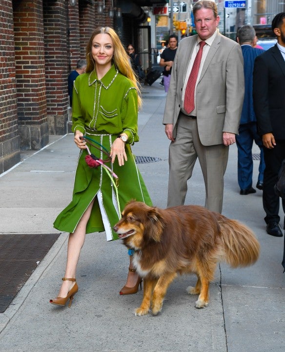 Amanda Seyfried and her dog, Finn, at the Late Show With Stephen Colbert