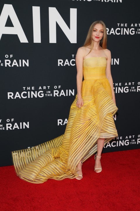 Amanda Seyfried at The Art of Racing in the Rain premiere