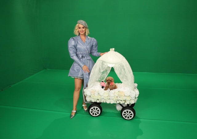 Katy Perry and marriage carriage on ellen