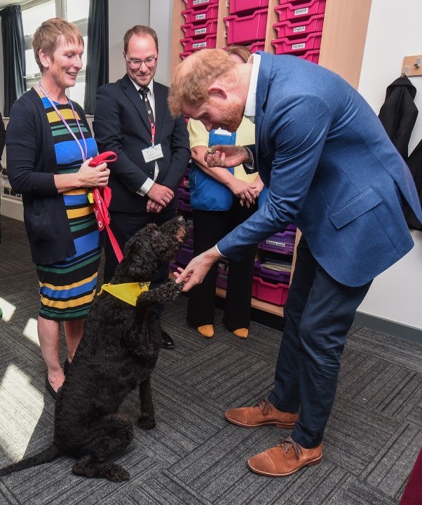 prince harry at nottingham academy on world mental health day