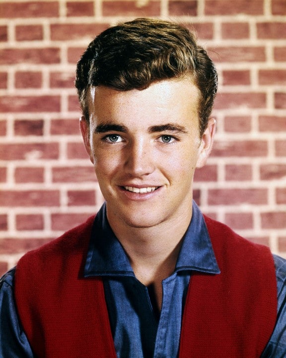 robert walker jr in 1965
