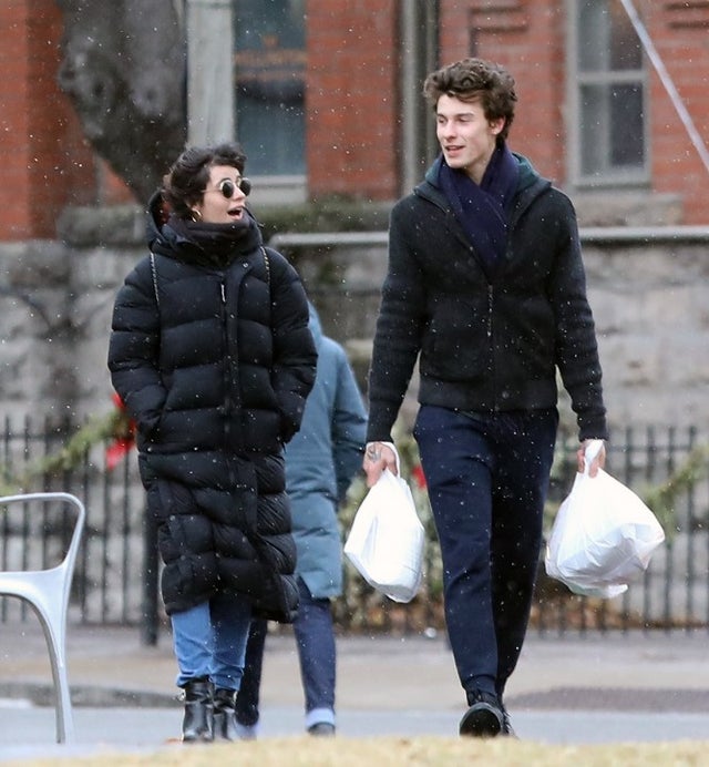 Camila Cabello and Shawn Mendes in toronto on 1/1