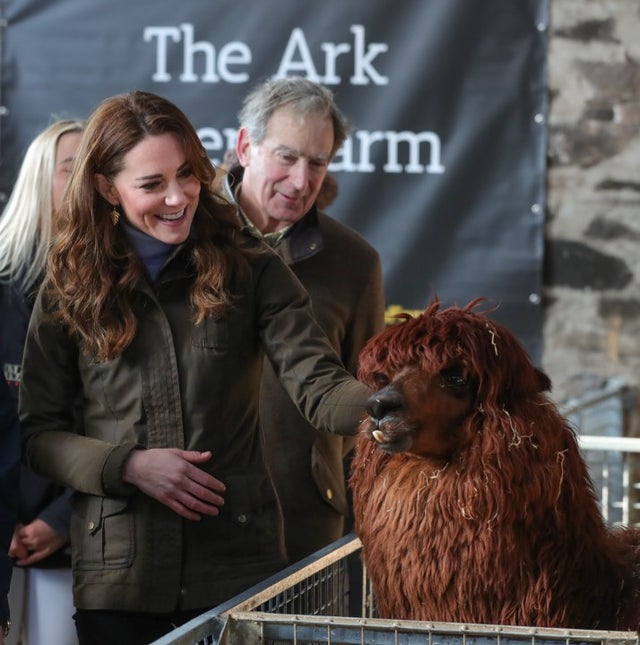 kate middleton meets an alpaca as she visits at The Ark Open Farm in northern ireland