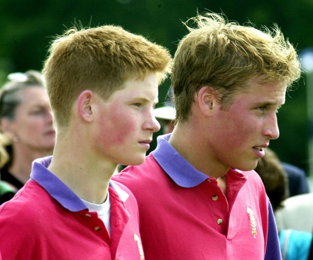 prince harry and prince william polo match 2001