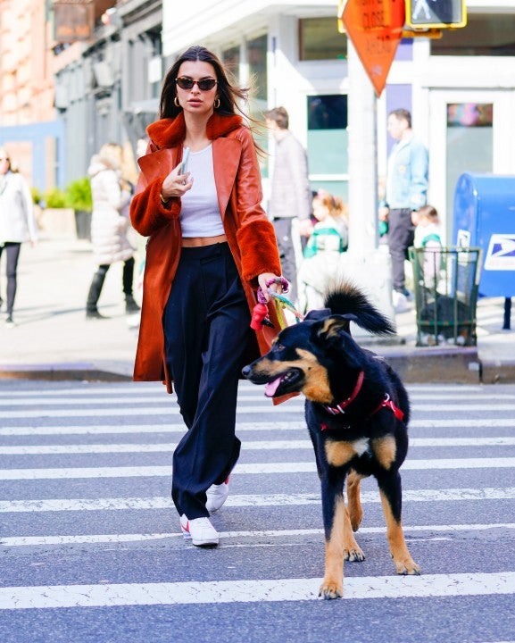Emily Ratajkowski walks her dog in nyc on 3/2