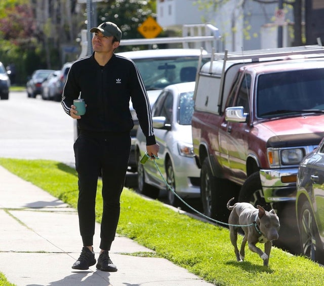 henry golding walks his foster dog stella 