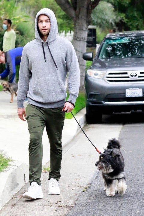 Chace Crawford walks his dog in los feliz