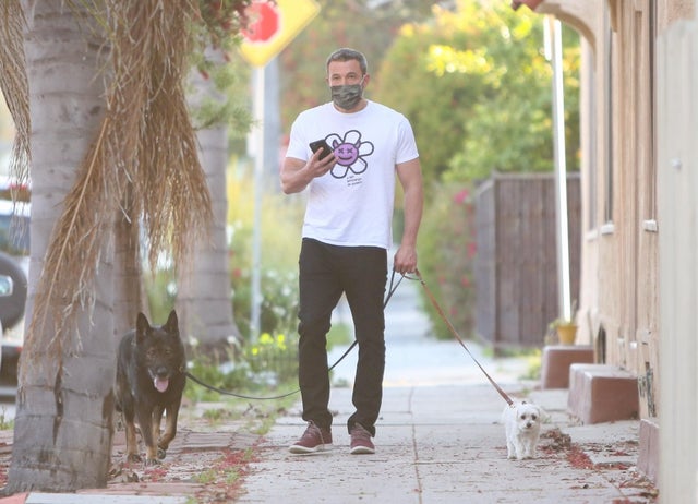 ben affleck walks his and ana de arma's dogs in LA