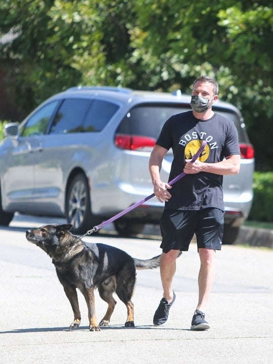 Ben Affleck walks his dog on 4/25