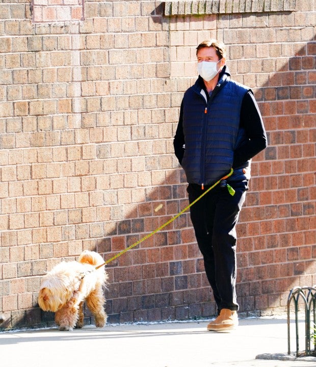 Hugh Jackman walks dogs on April 15 in nyc