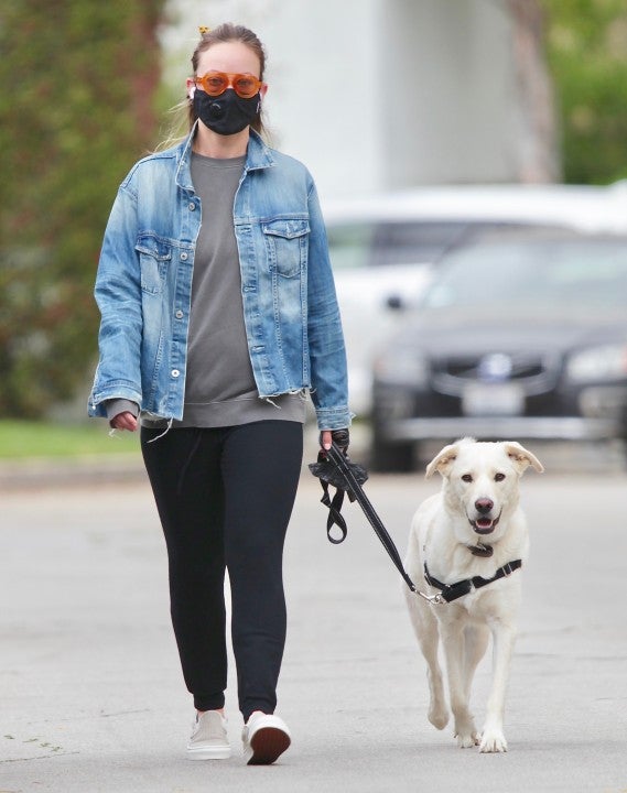Olivia Wilde walks her dog on 4/5