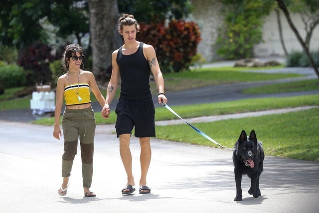 camila cabello and shawn mendes walk her dog on 5/6 in miami