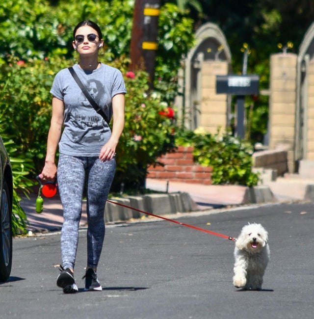 lucy hale walks her dog on 5/25