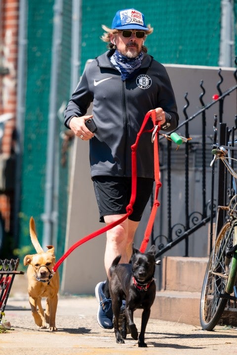 Ethan Hawke and his dogs in brooklyn