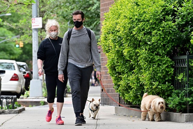 Hugh Jackman and wife walk their dogs