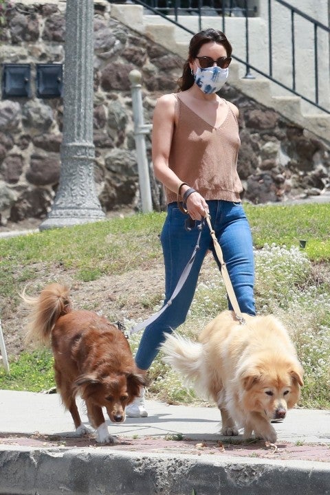 Aubrey Plaza walks her dogs