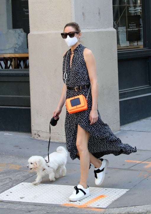 Olivia Palermo walks her dog in nyc