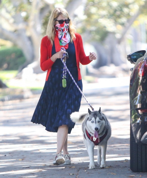laura dern and her dog