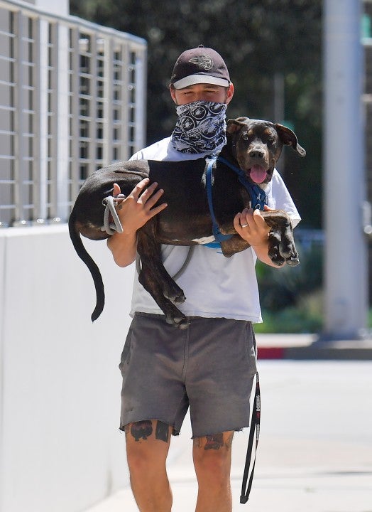 shia labeouf and his dog