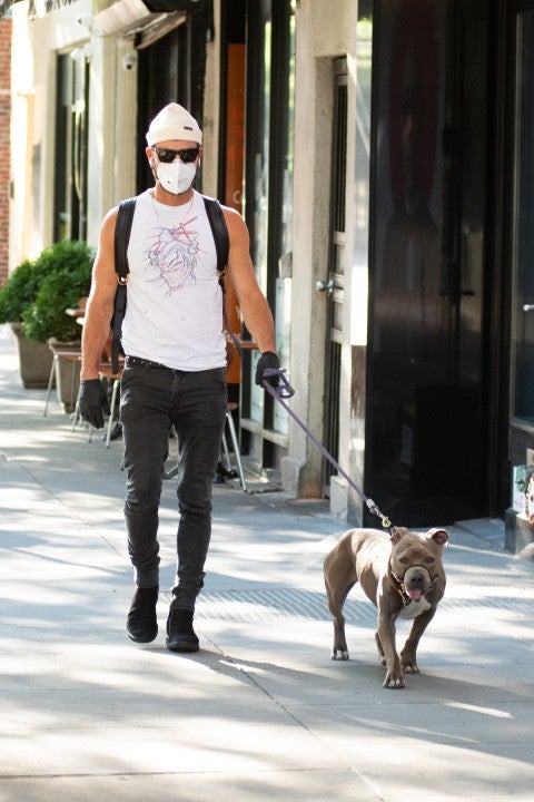 Justin Theroux walks his dog